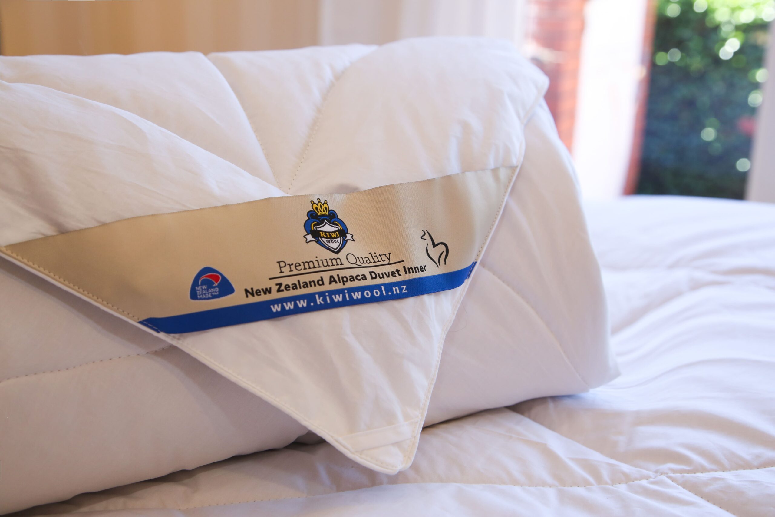 New Zealand Landscape