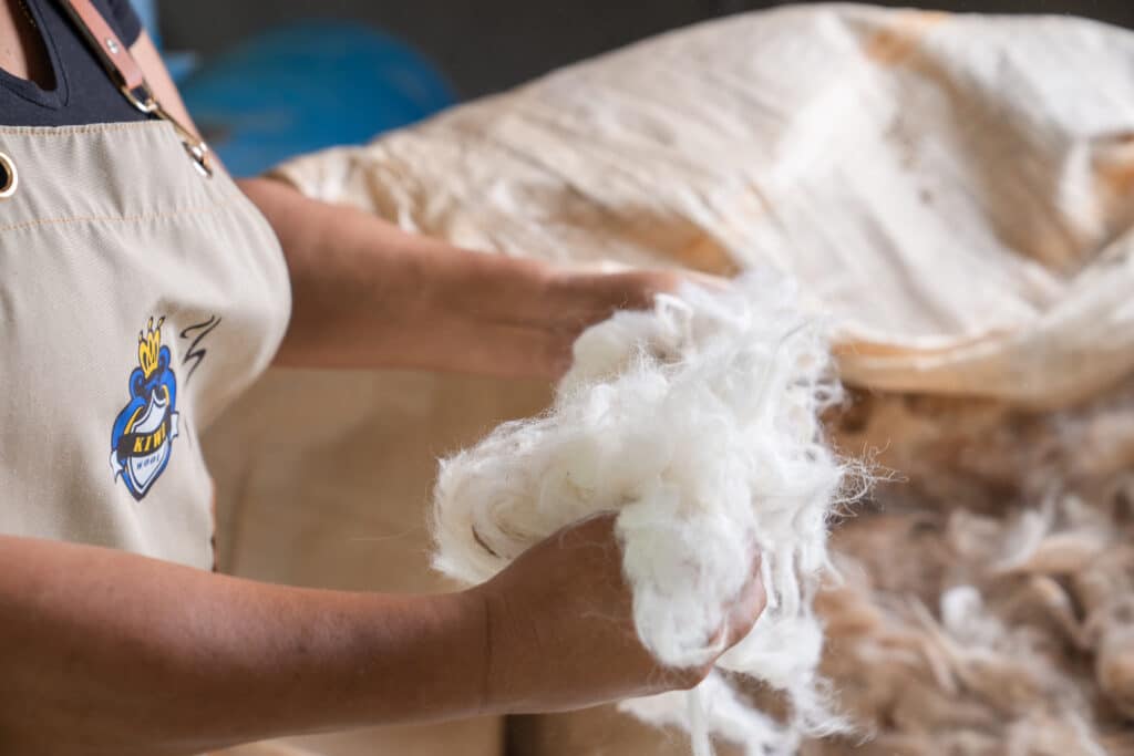 Hands holding a cloud of raw white alpaca fleece at the Kiwi Wool factory