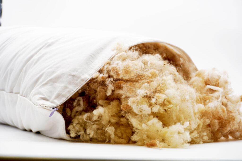 Wool pearl pillow filling spilling from an open Kiwi Wool pillow
